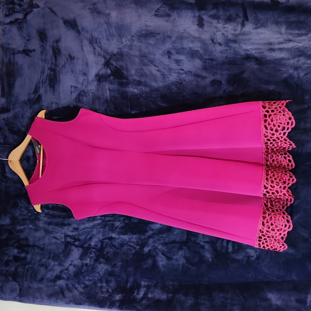 Sleeveless Raspberry Dress